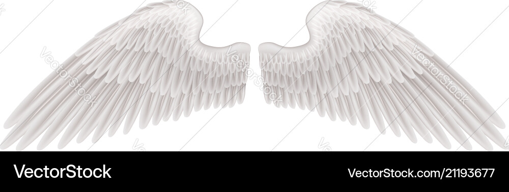 Wings Royalty Free Vector Image - VectorStock