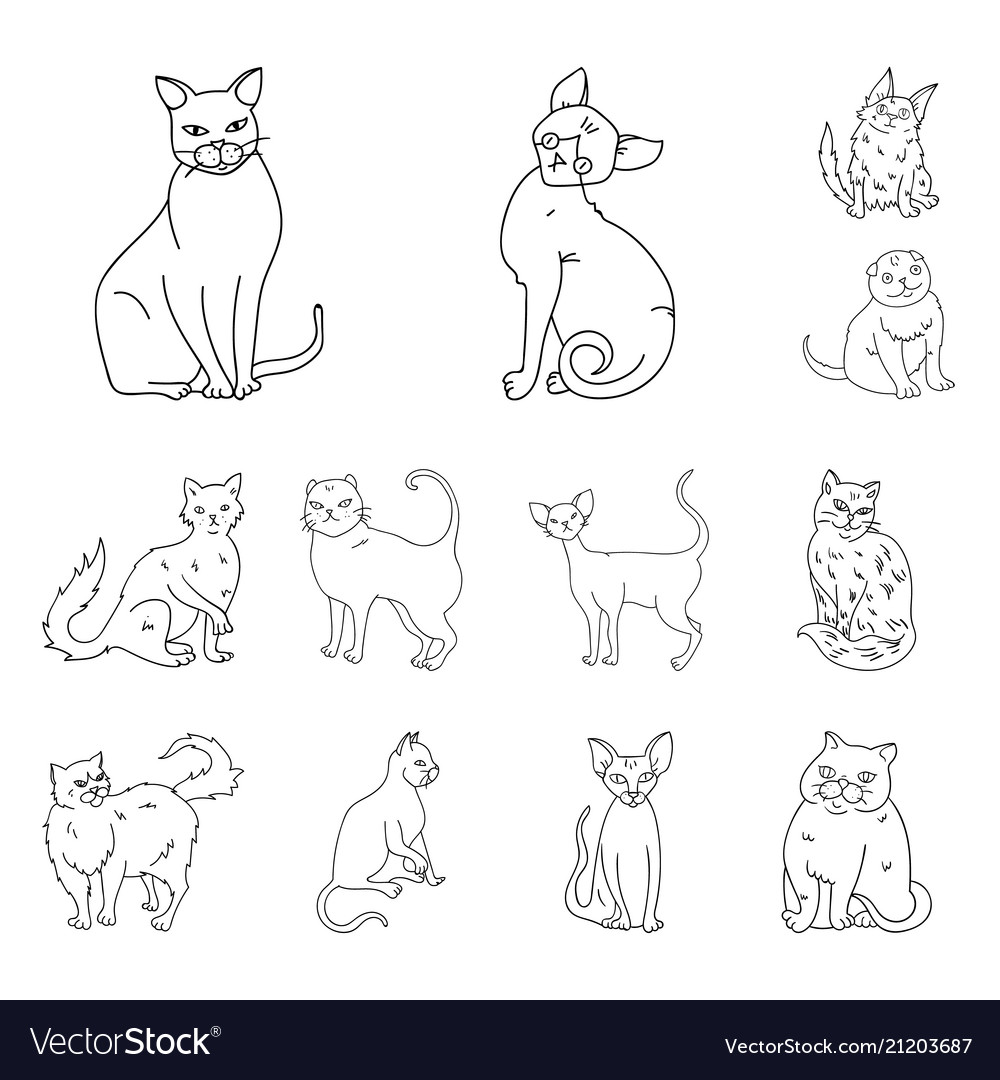 Breeds Katzen Umriss Icons in Set-Sammlung