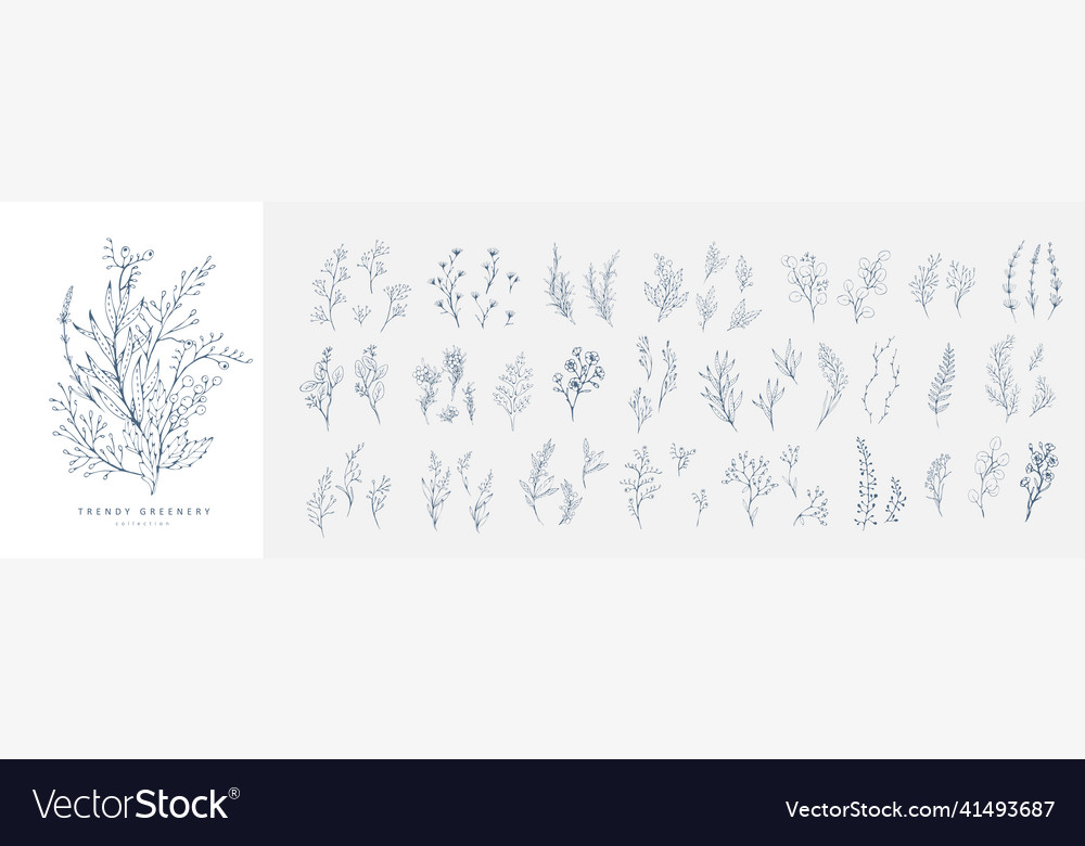 Trendy floral branch and minimalist flowers