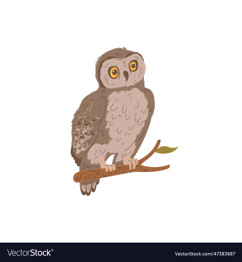 Wonder brown owl sitting on branch flat style