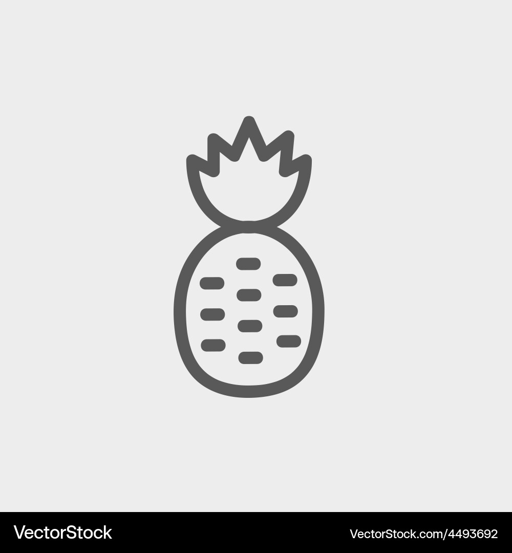 Pineapple thin line icon Royalty Free Vector Image