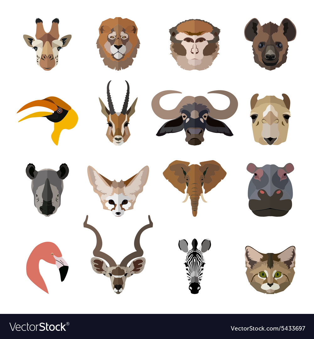 Set of african animals faces isolated icons flat Vector Image