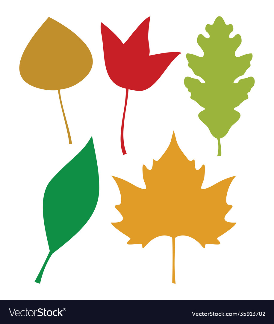 Autumn Leaf Set Royalty Free Vector Image - Vectorstock