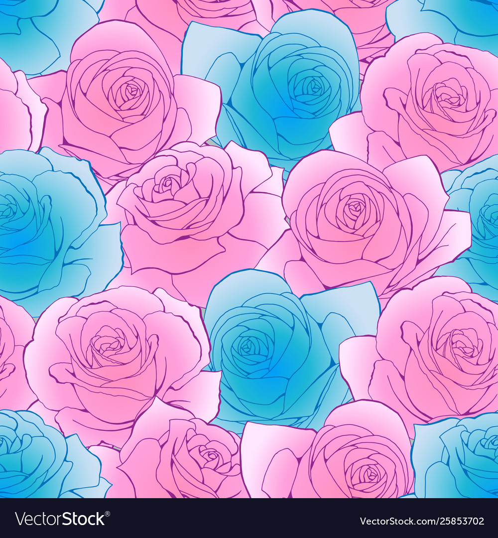 Pink and blue rose simplify flowers botanical Vector Image