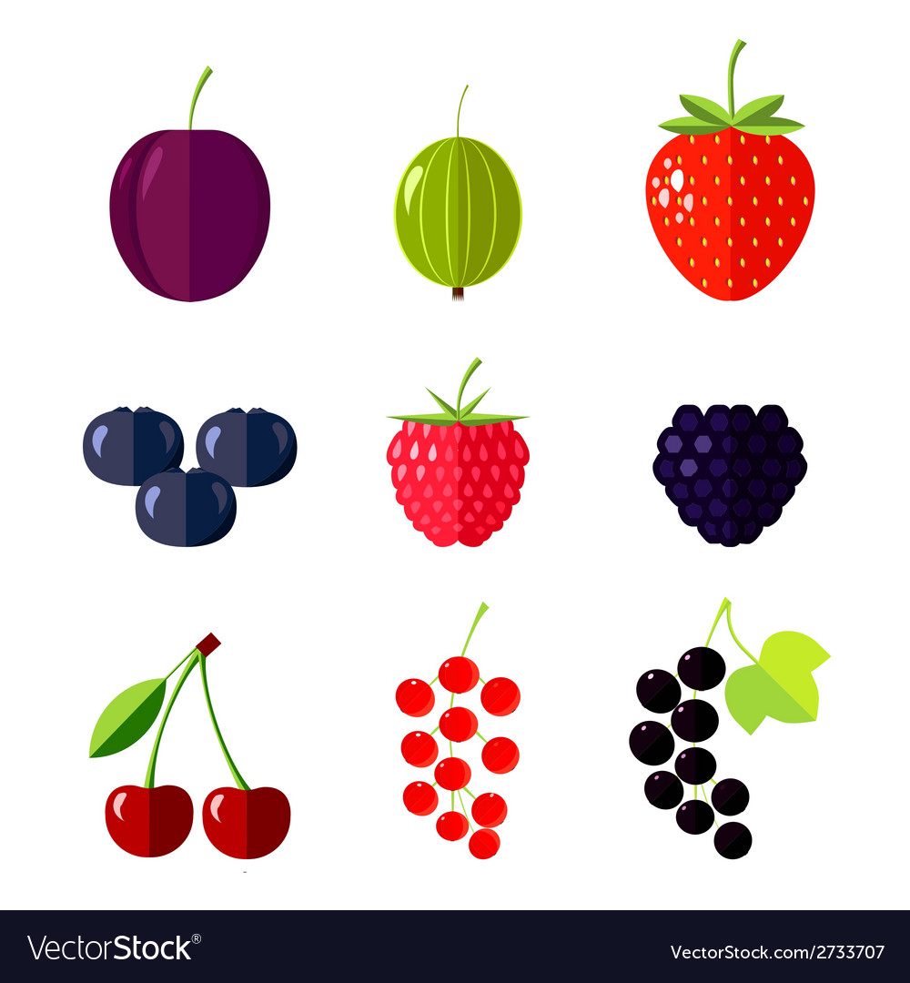 Berries Flat Royalty Free Vector Image VectorStock