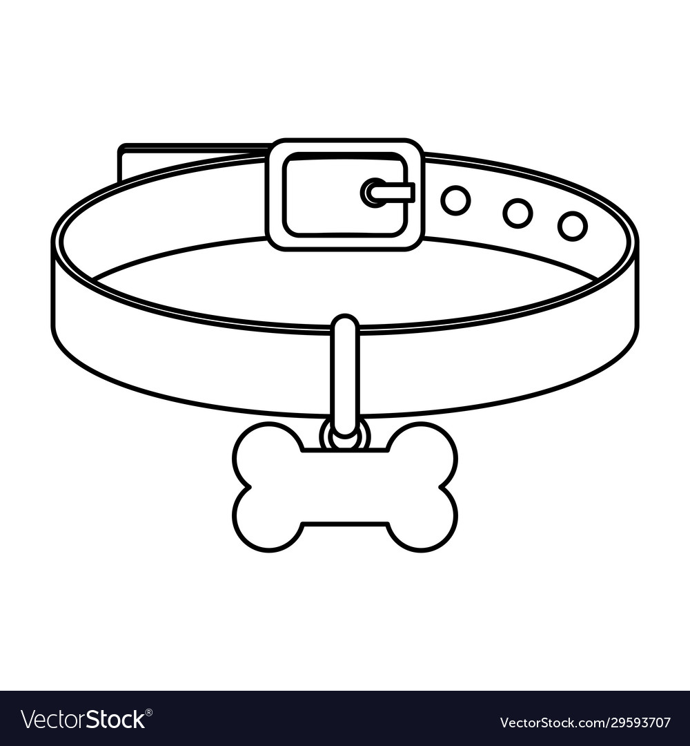 Collar for dog with bone isolated icon Royalty Free Vector