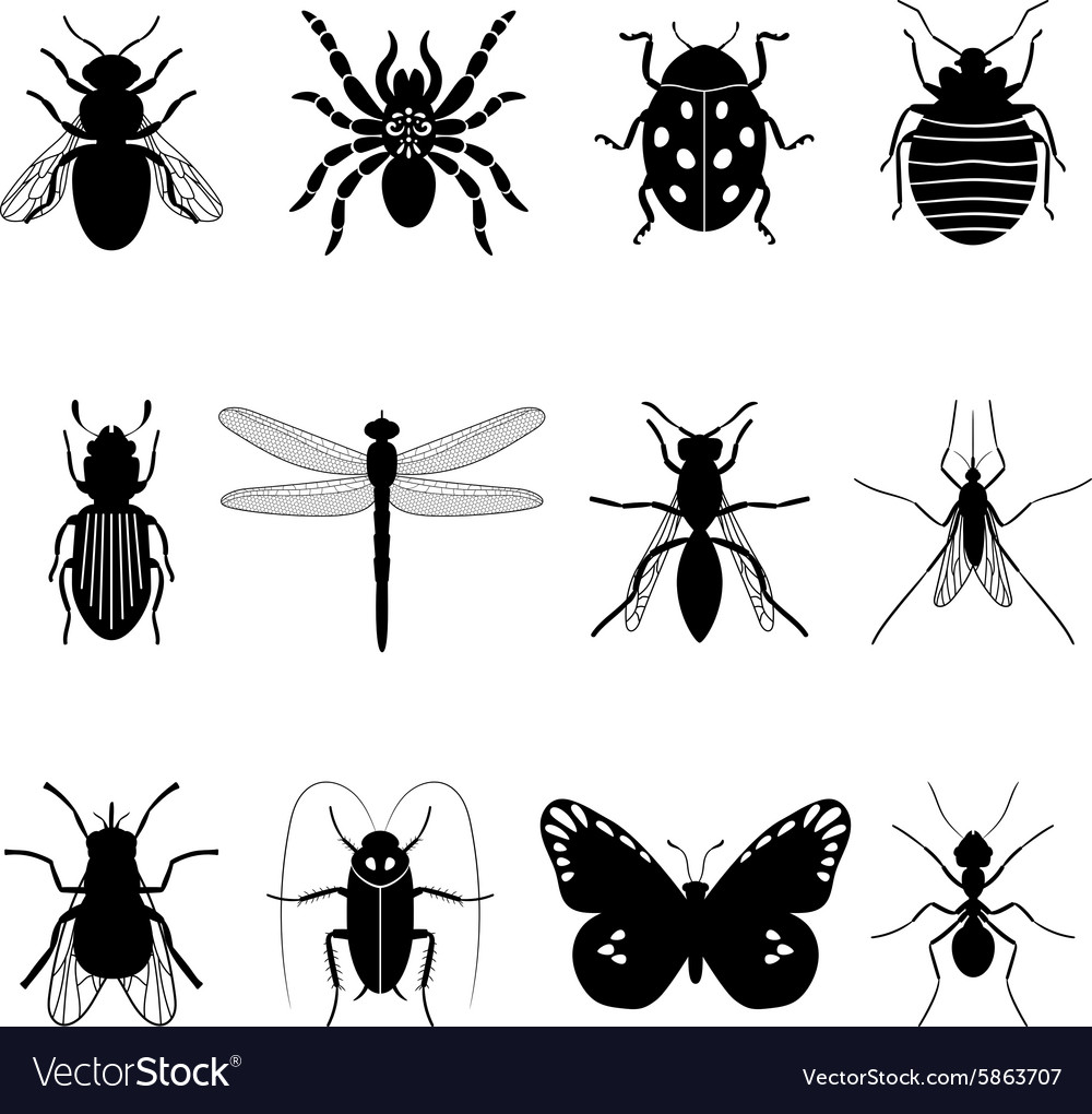 Insekten Icons