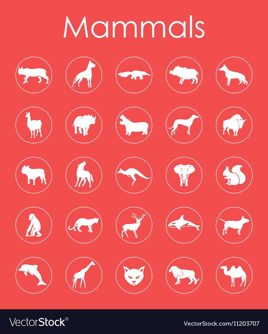 Set of mammals simple icons