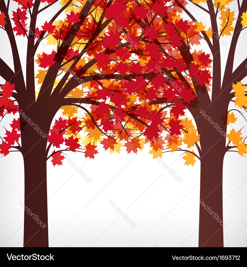 Abstract background maple tree with branches made Vector Image