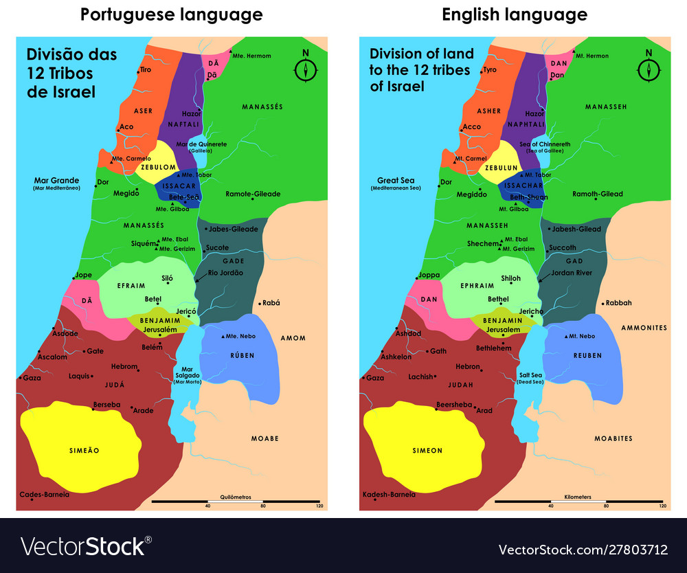 division-12-tribes-israel-royalty-free-vector-image