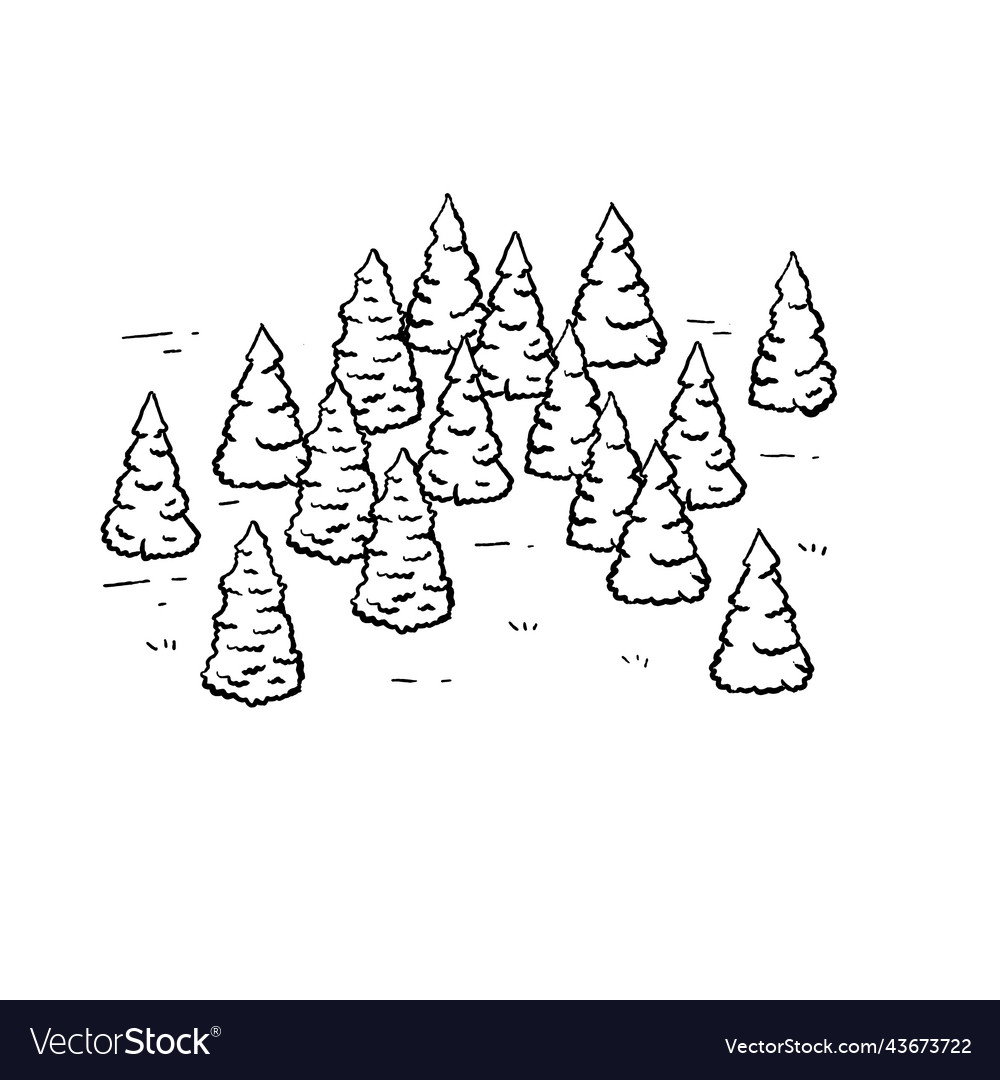 Christmas trees in forest natural landscape