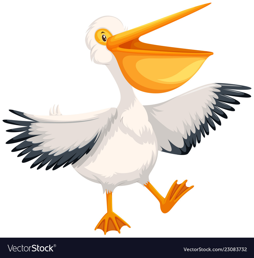 A happy pelican character Royalty Free Vector Image