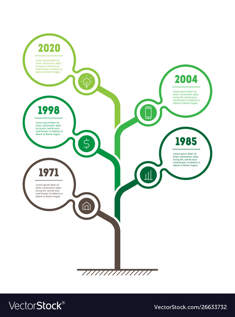 Timeline tree infographic or presentation Vector Image