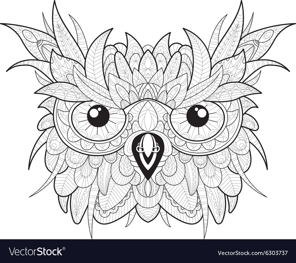 Hand Drawn Cute Owl Portrait For Adult Coloring Vector Image