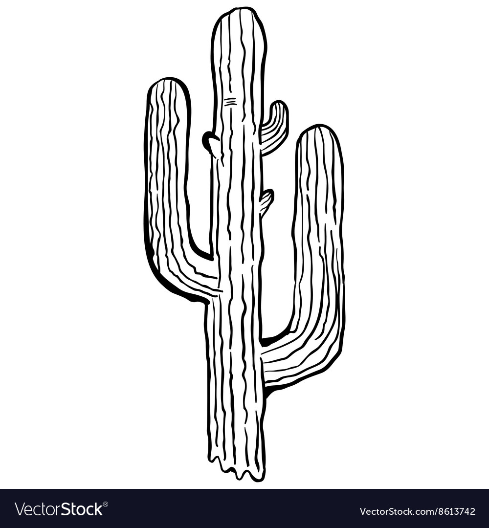 Simple black and white cactus Royalty Free Vector Image