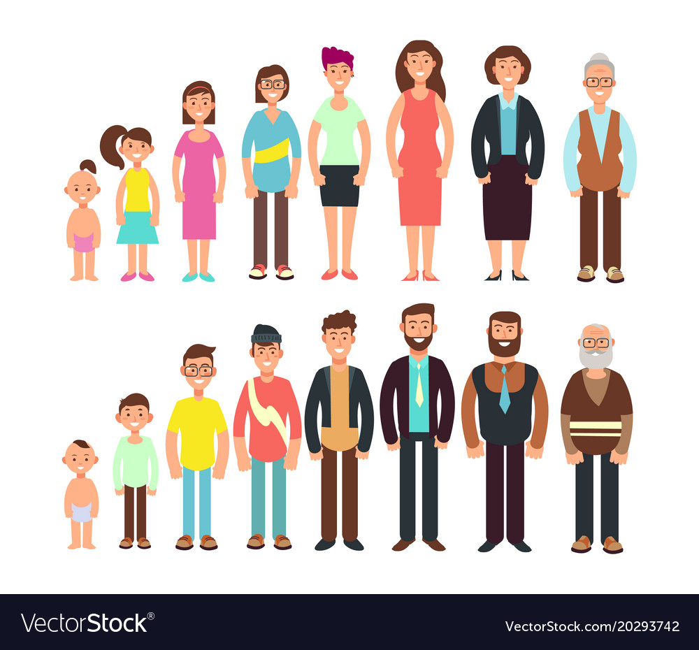 Stages growth people children teenager adult Vector Image