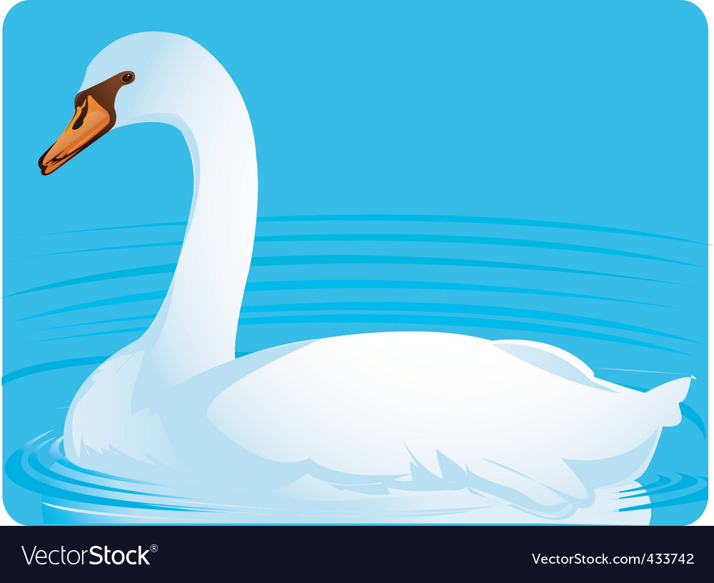 Swan