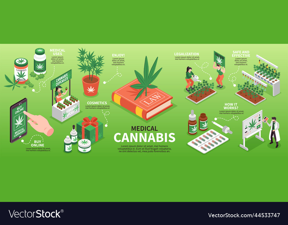 Medical Cannabis Isometric Infographics Royalty Free Vector