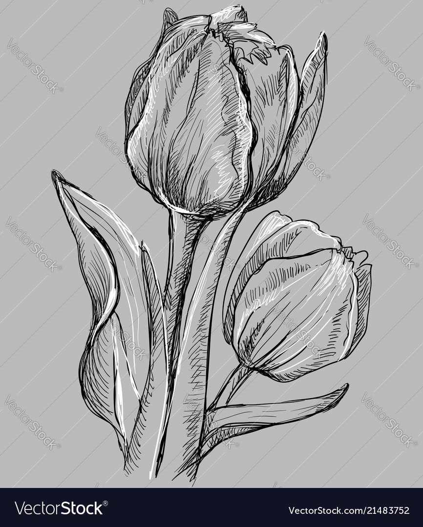 Grey flower 10 Royalty Free Vector Image - VectorStock