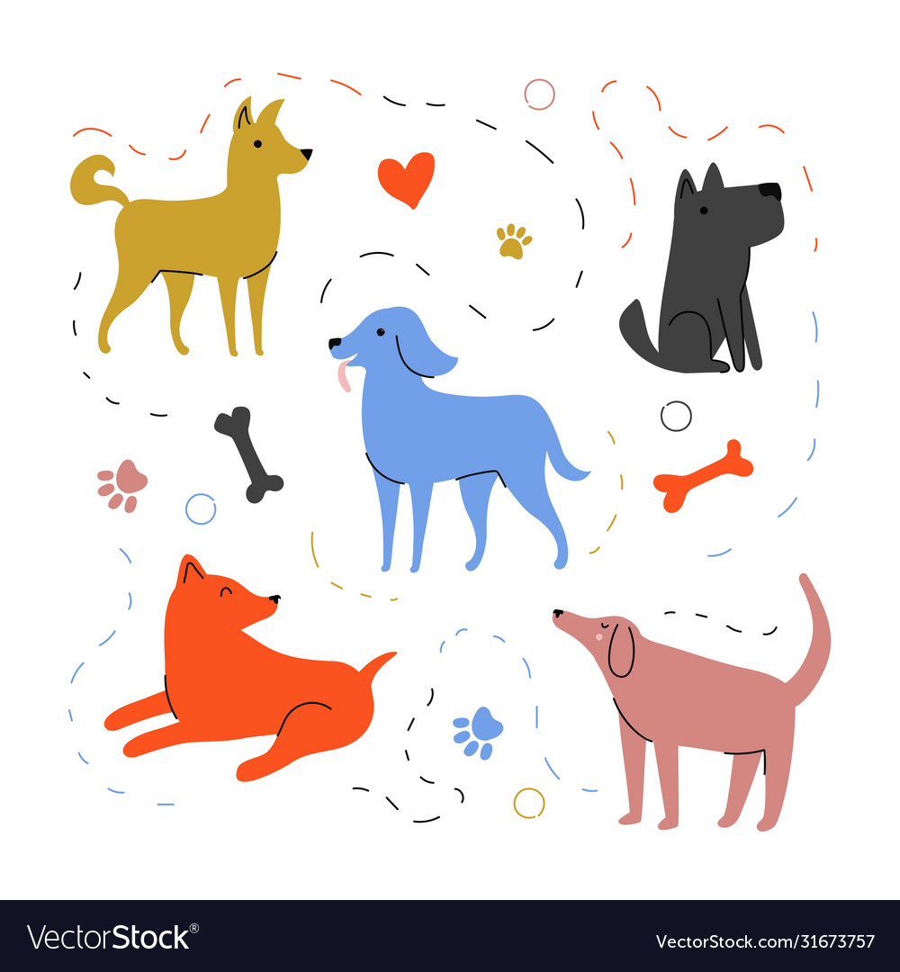 With dog walking party paws and bones vector image With dog walking party paws and bones