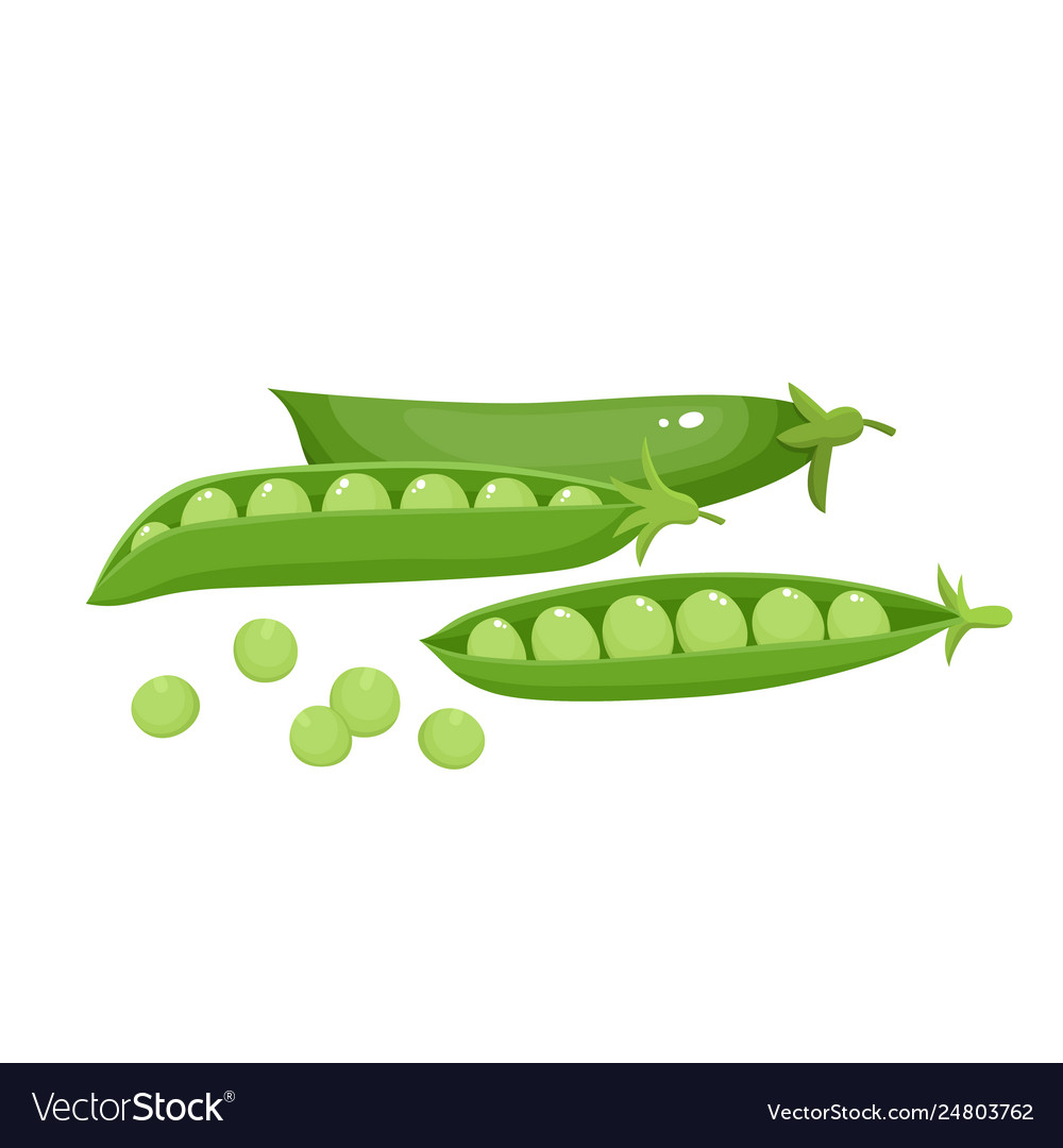 Bright collection colorful peas isolated