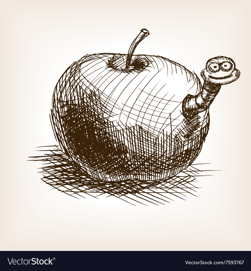 Apple fruit sketch Royalty Free Vector Image - VectorStock