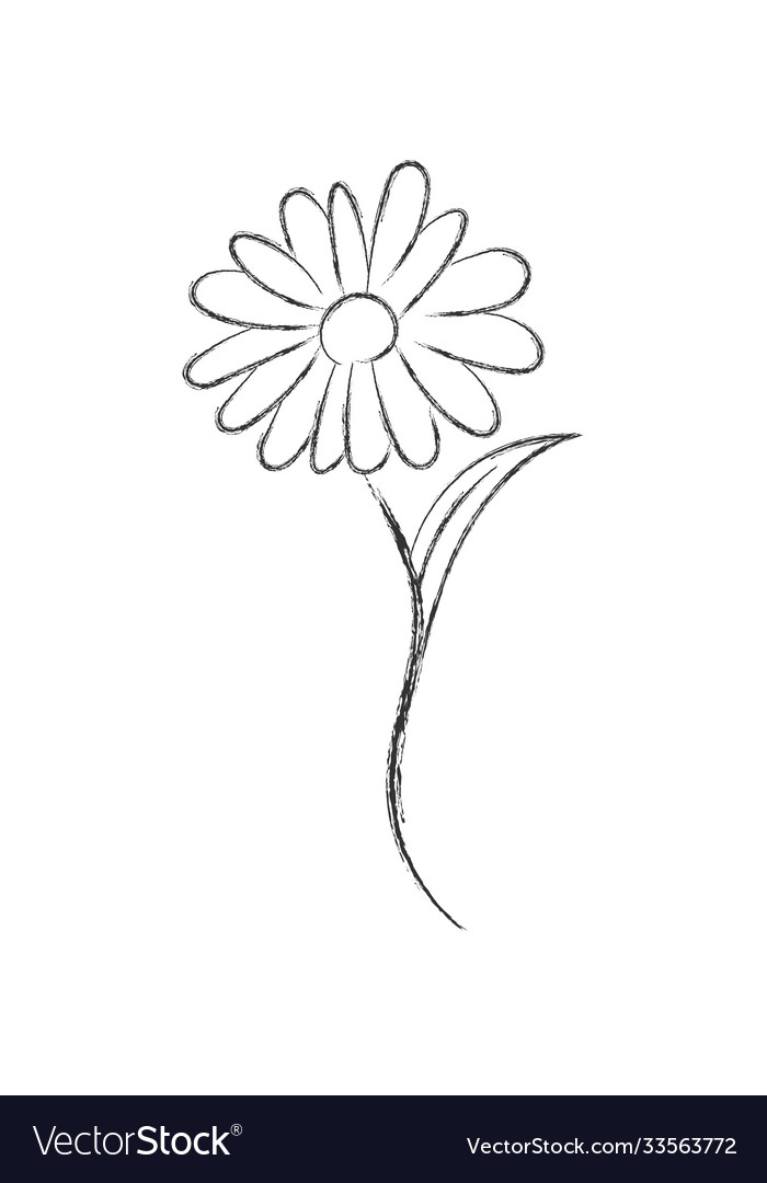 Pencil sketch a flower with petals flat doodle Vector Image