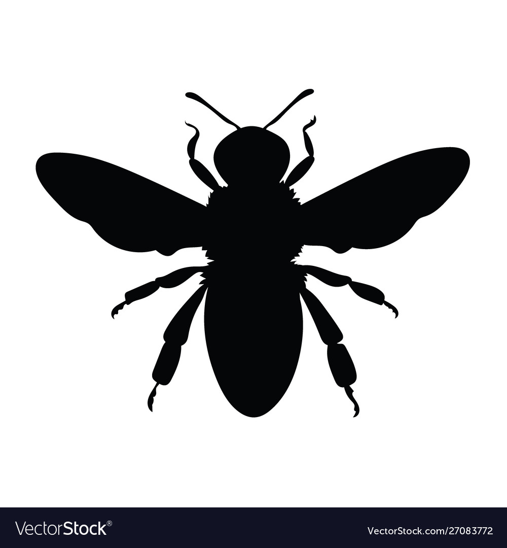 Silhouette a honey bee contours a wasp Royalty Free Vector