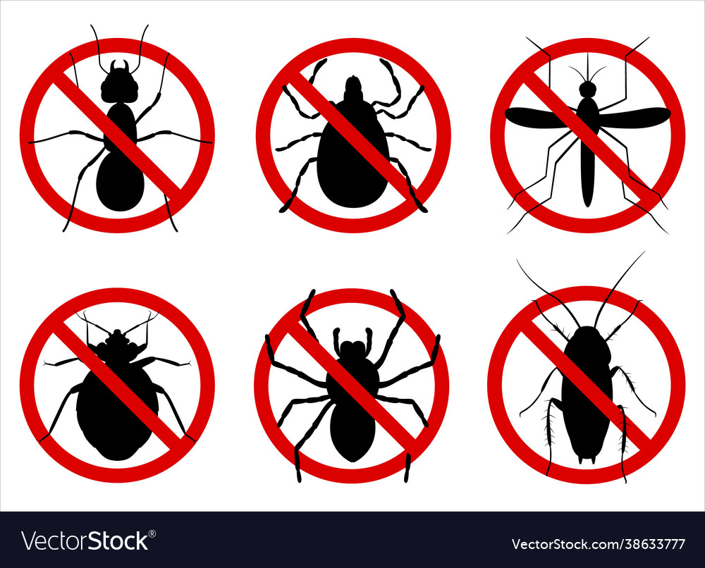 Anti pest control ban prohibition parasitic Vector Image