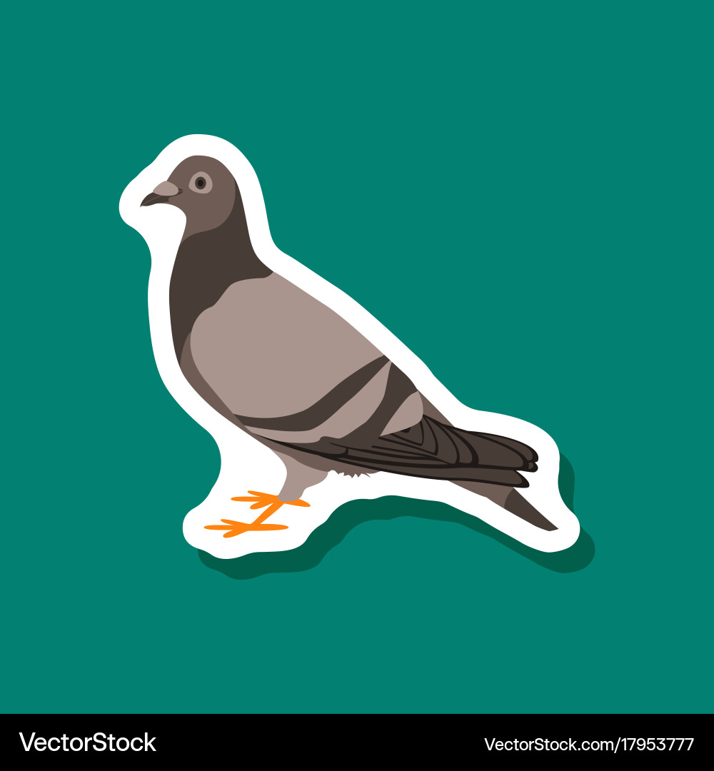 Dove paper sticker on stylish background Vector Image