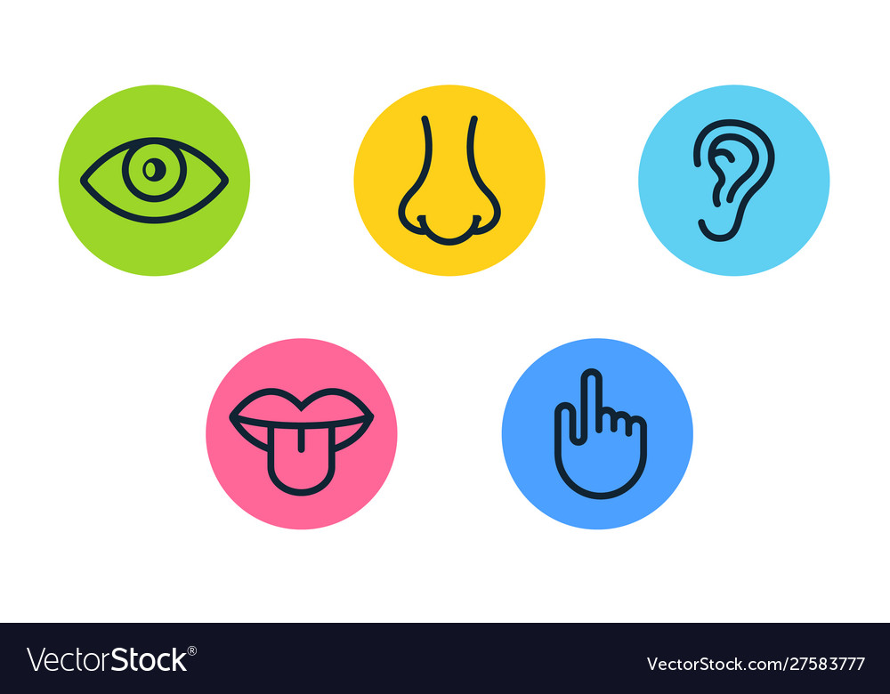 Five human senses vision eye smell nose hearing Vector Image