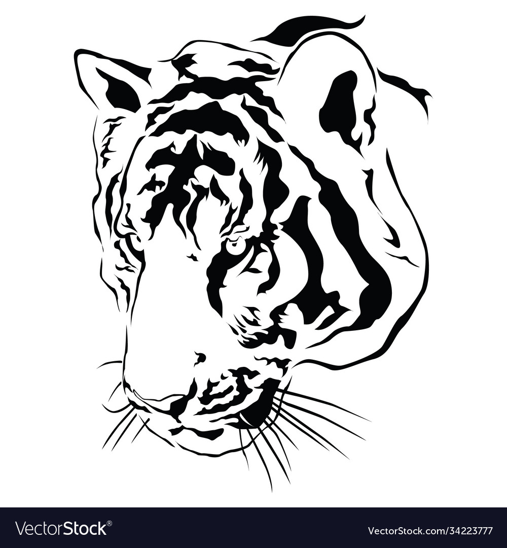 tiger line art safari (large scale) Fabric