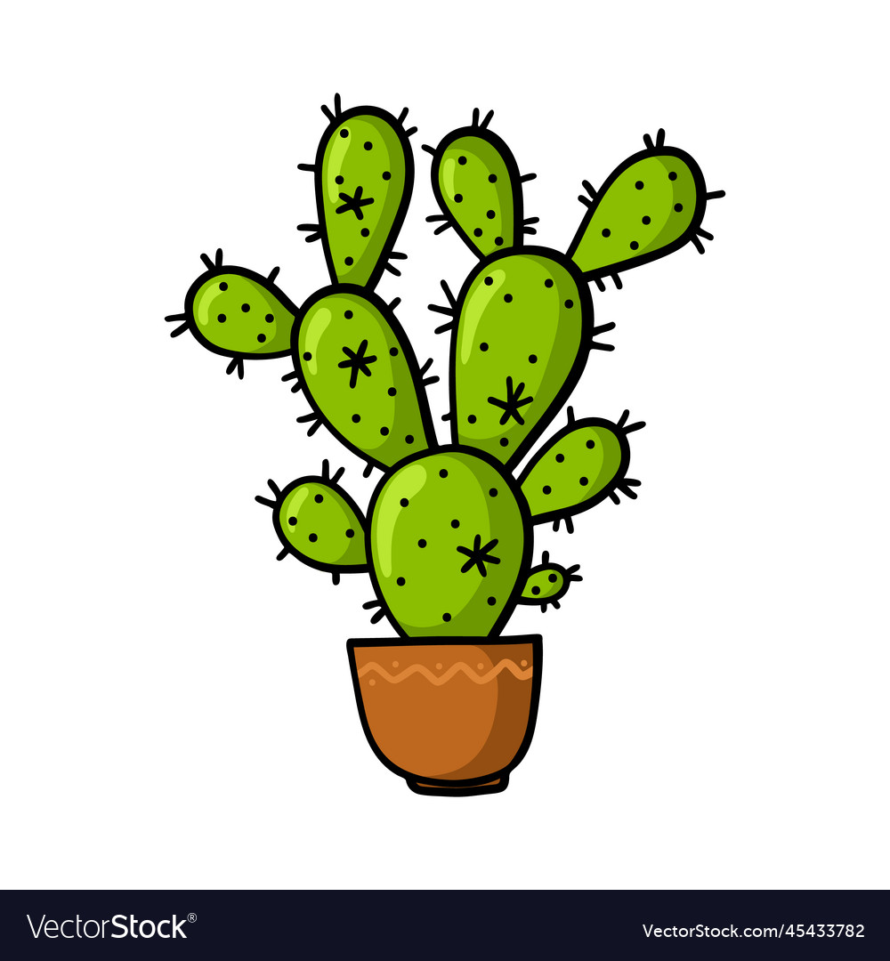 Hand drawn cactus in the pot isolated on white