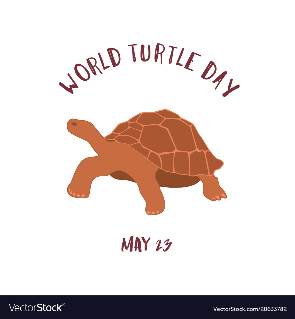 May 23 - world turtle day Royalty Free Vector Image