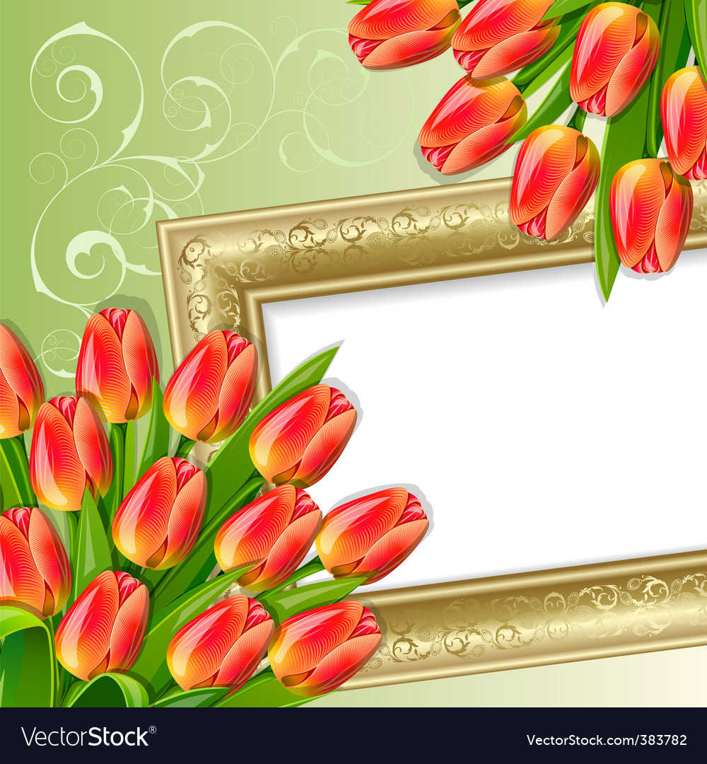 Spring background Royalty Free Vector Image - VectorStock