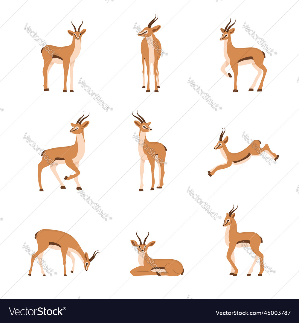 Elegante african antelope set von gazelles