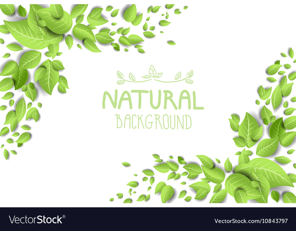 Backdrop with green leaves Royalty Free Vector Image