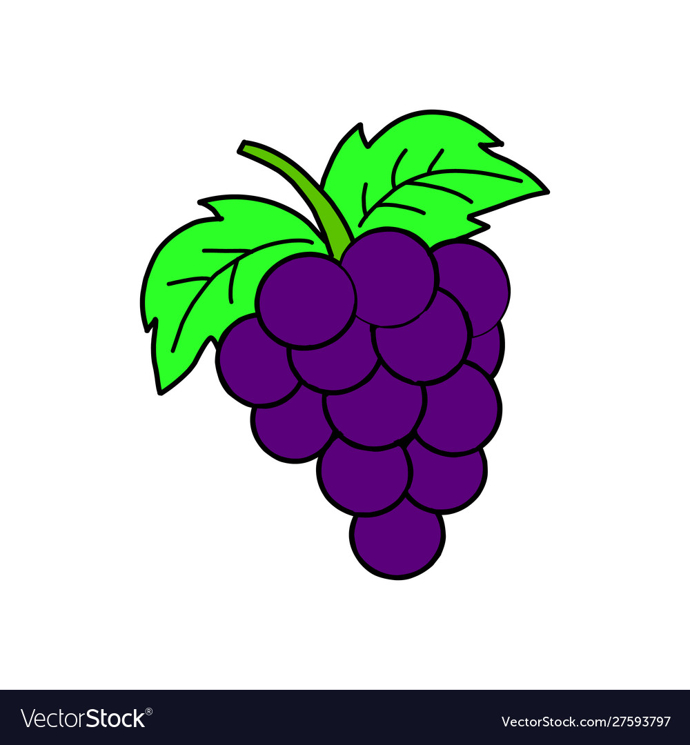 Grapes icon isolated on white background from