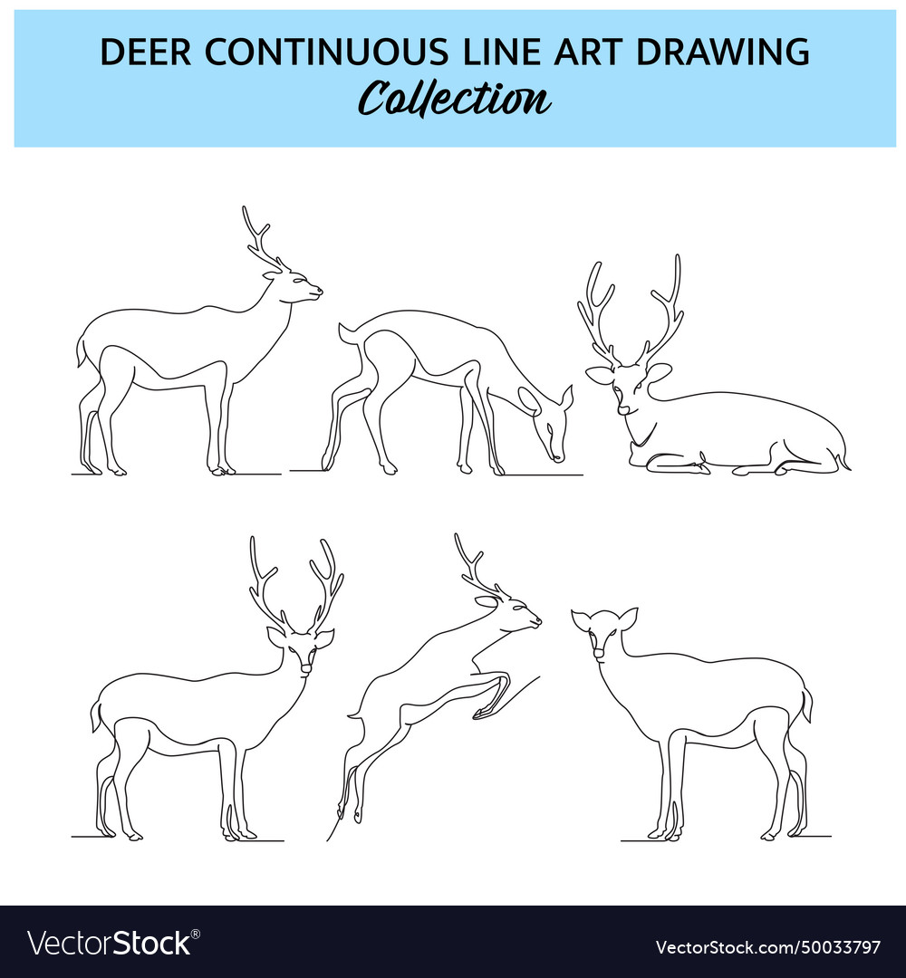 Set of deer line design wildlife decorative