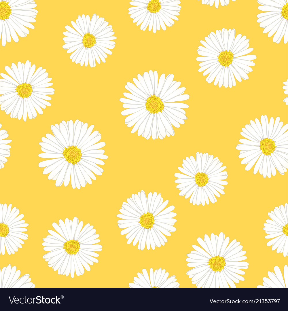 daisy background