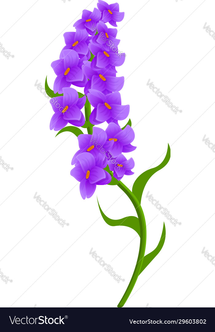 Botany lavender icon cartoon style Royalty Free Vector Image Botany lavender icon cartoon style Royalty Free Vector Image