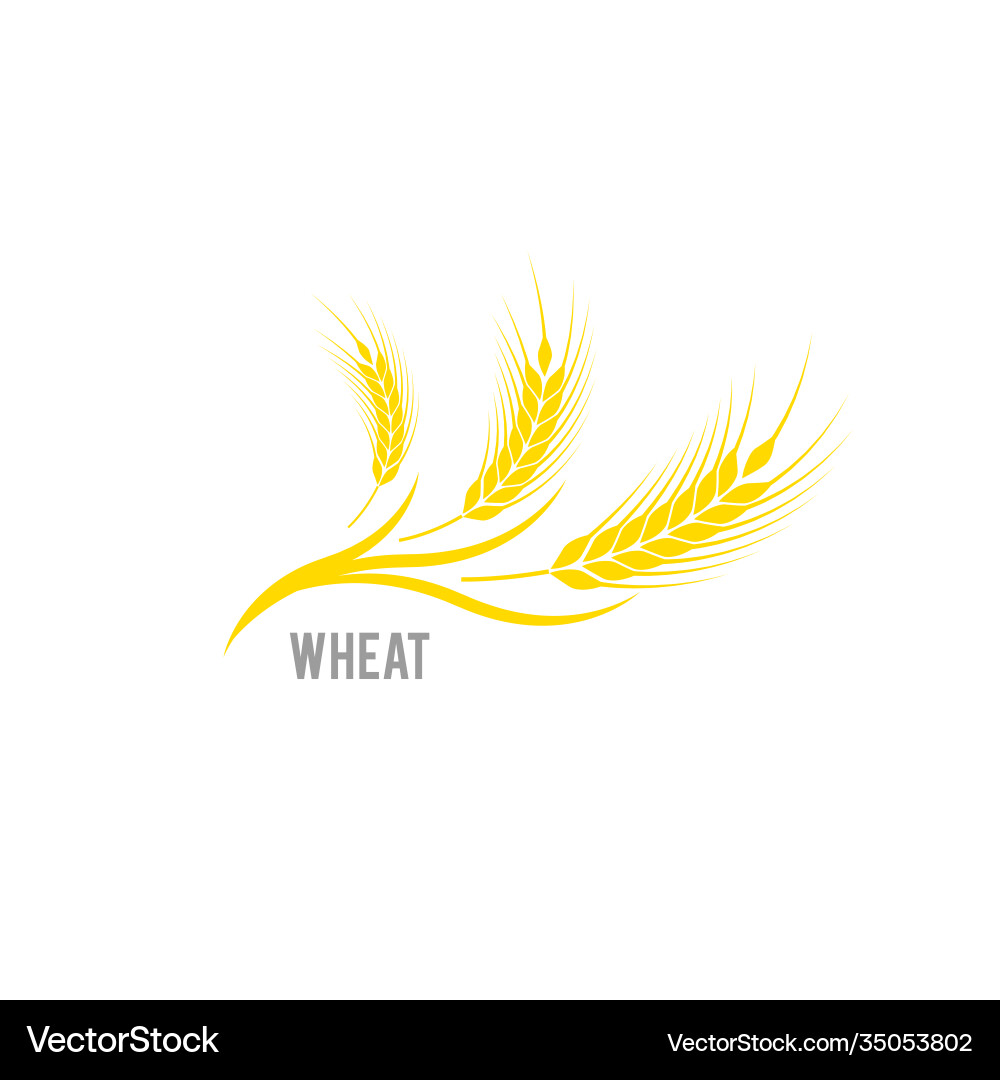 Cereals icon logo design and elements of Vector Image