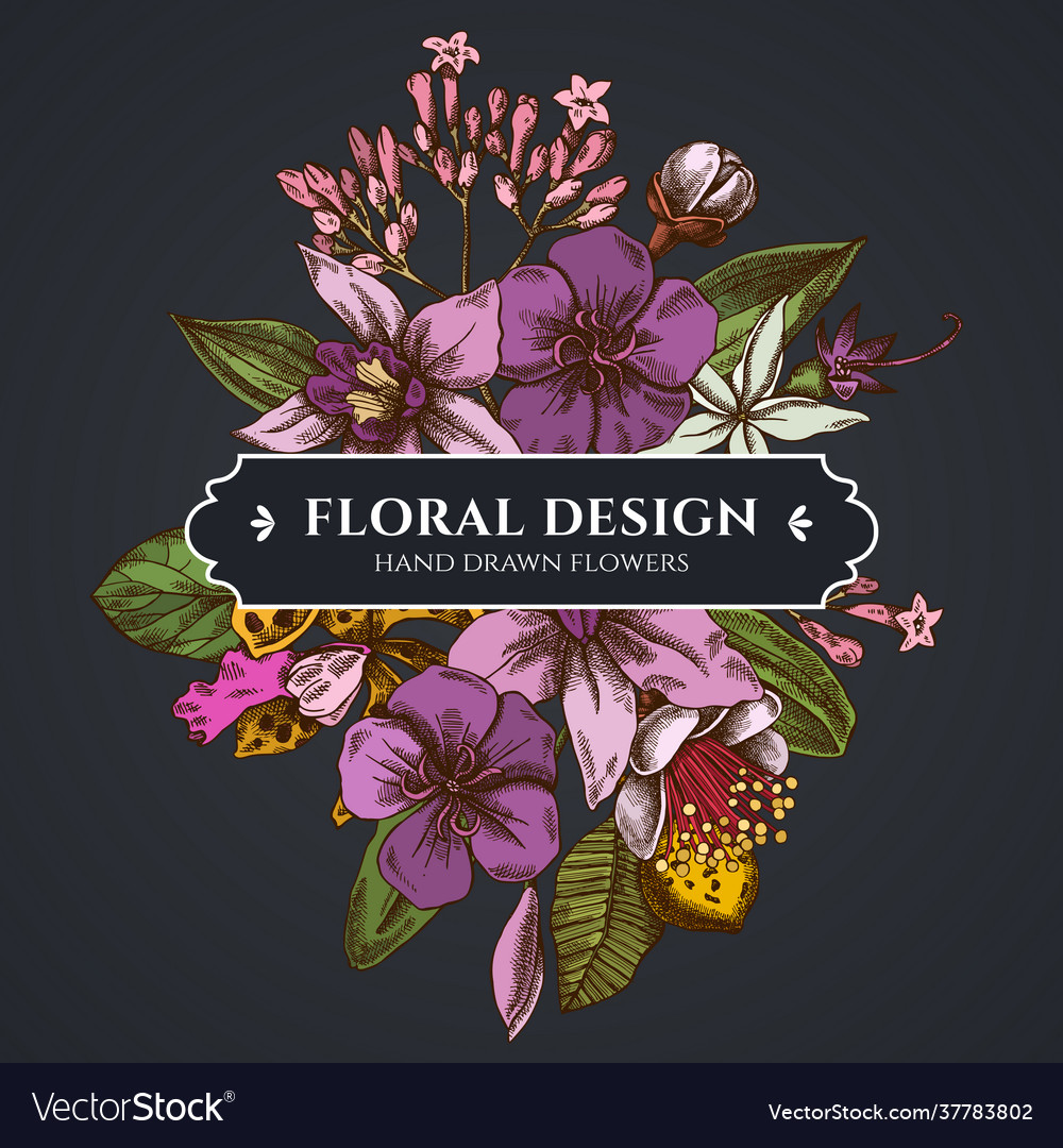 Floral bouquet dark design with laelia feijoa vector image Floral bouquet dark design with laelia feijoa