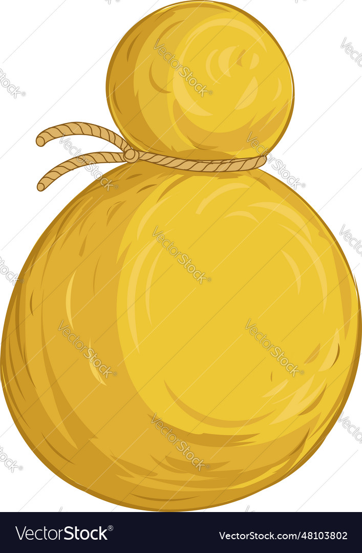 Provolone italian cows milk cheeset raditional Vector Image