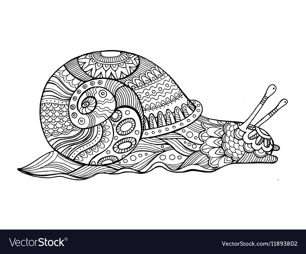 Snail coloring book for adults Royalty Free Vector Image