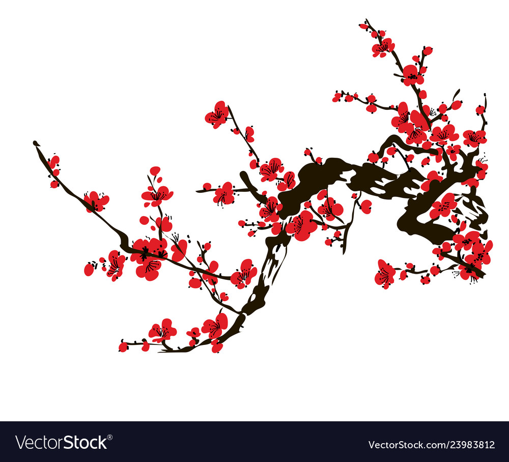 Realistic sakura blossom japanese cherry tree Vector Image