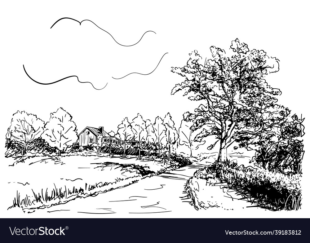 Sketch of countryside landscape with house road Vector Image