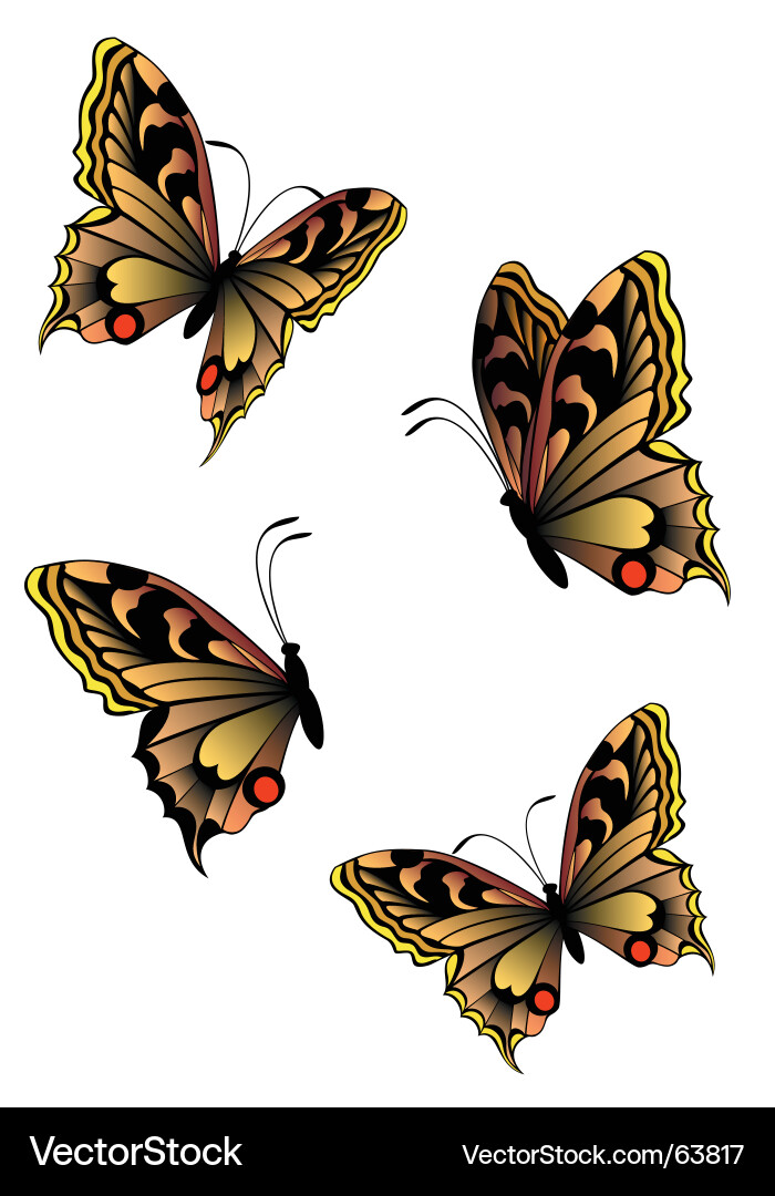 Butterfly Royalty Free Vector Image - VectorStock