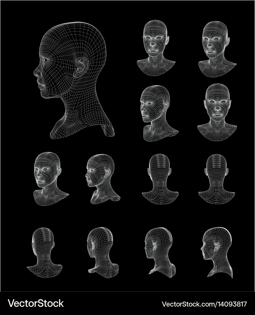 Wireframe head 3d model Royalty Free Vector Image