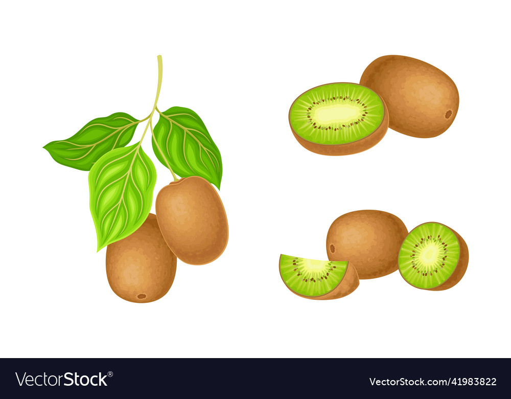 Frische exotische Kiwi-Set reifen ganz und schneiden süß